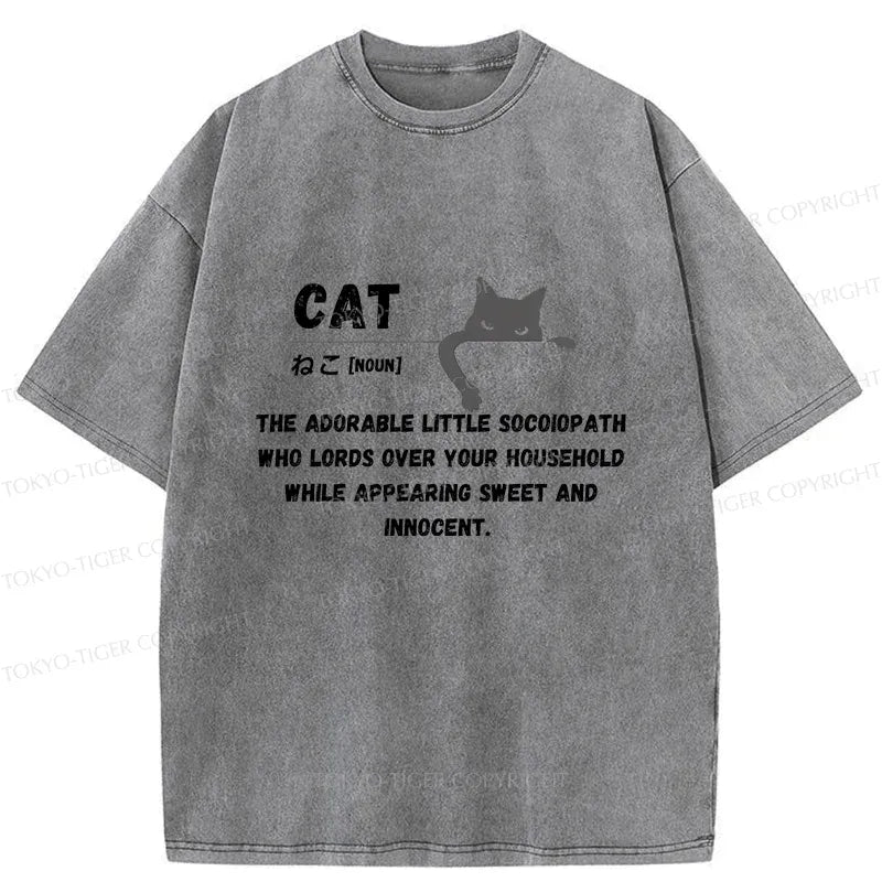 Kyoto-Lion Definition Of Cat Washed T-Shirt