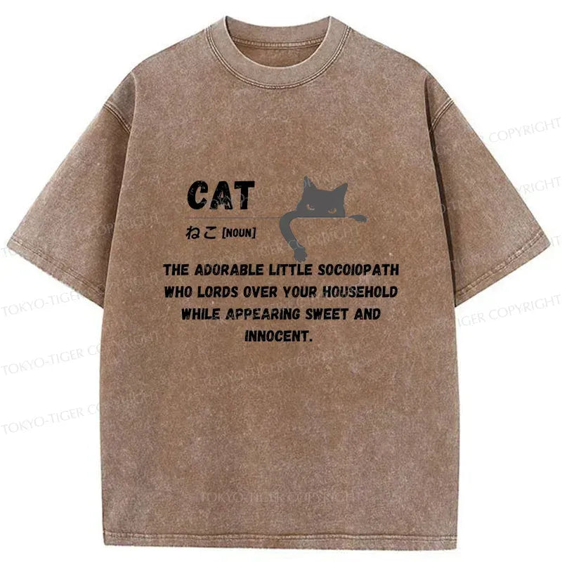 Vintage Kyoto Lion Cat Tee for Summer