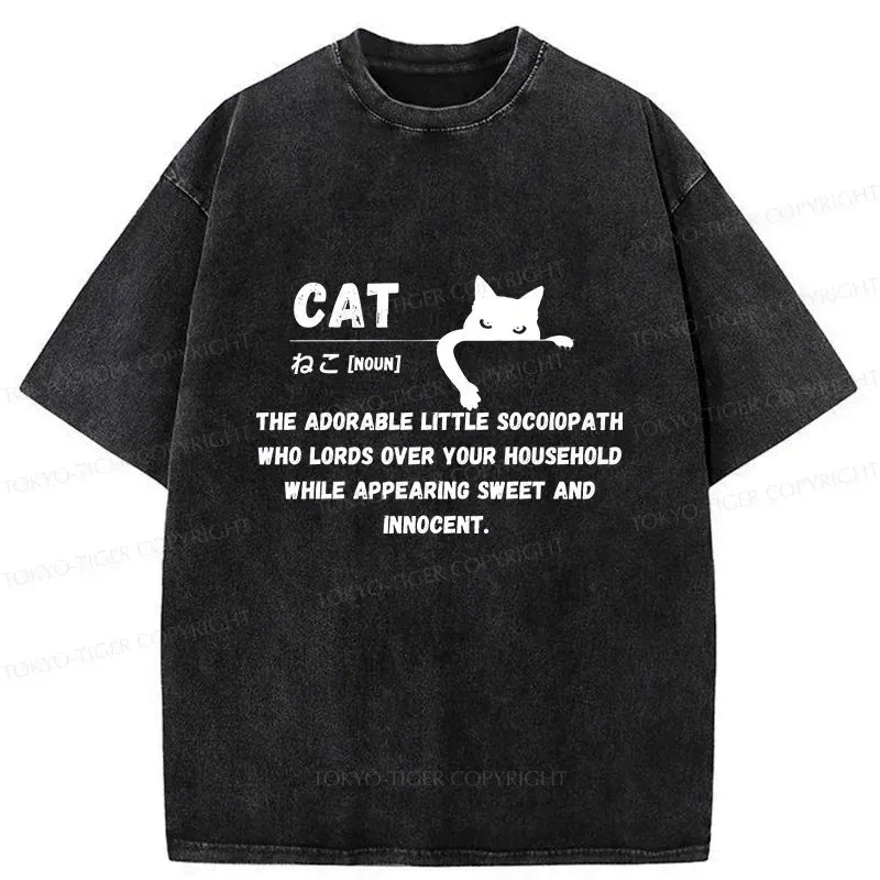 Vintage Kyoto Lion Cat Tee for Summer