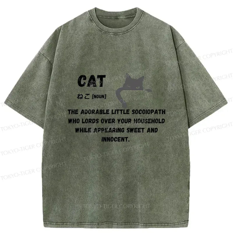 Kyoto-Lion Definition Of Cat Washed T-Shirt