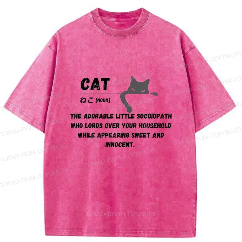 Kyoto-Lion Definition Of Cat Washed T-Shirt