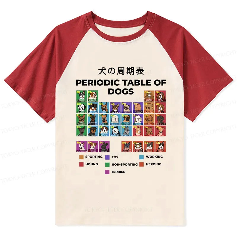 Comfortable Unisex Cotton Raglan Tee