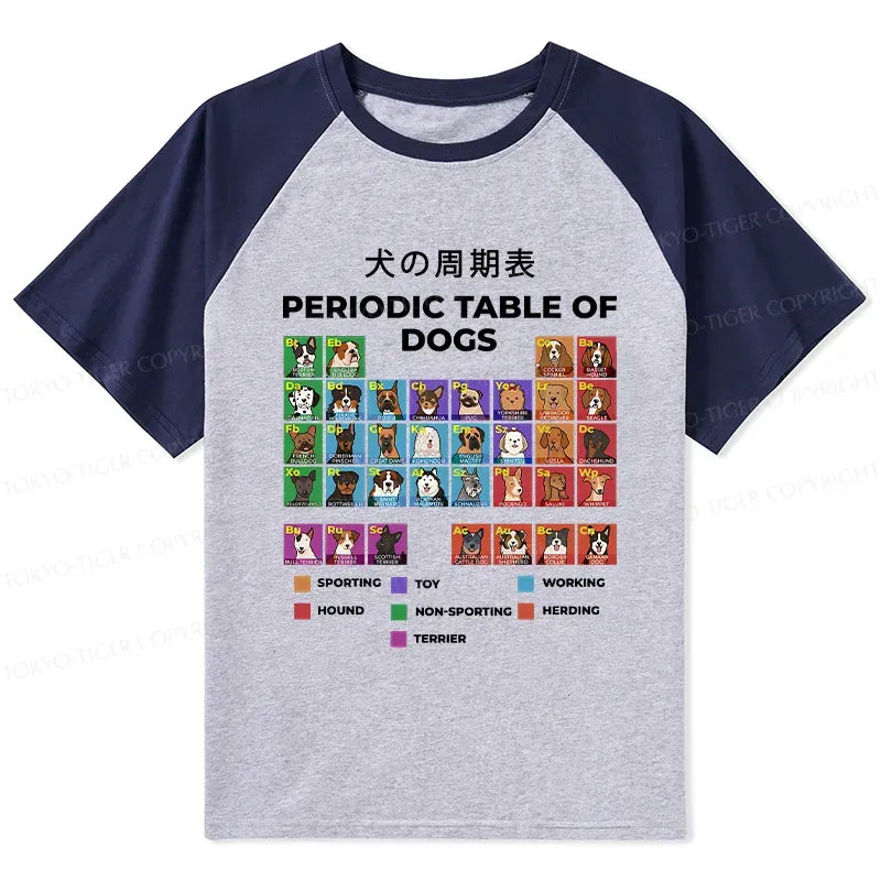 Comfortable Unisex Cotton Raglan Tee