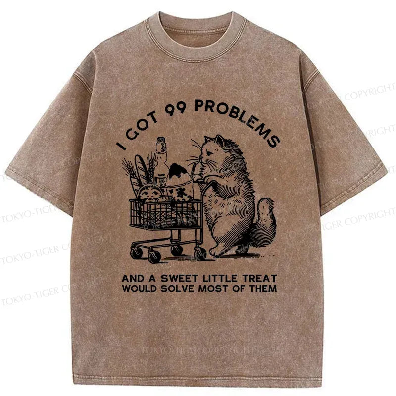 Kyoto-Lion Cat In Need Of A Snack Washed T-Shirt