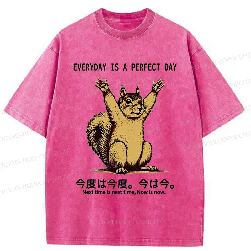Well Washed Unisex Cotton T-Shirt for Gift