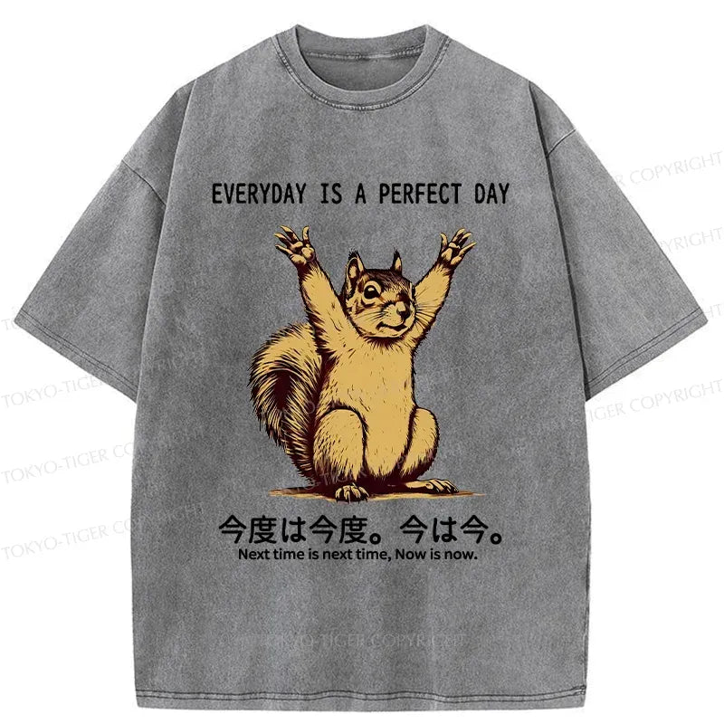 Kyoto-Lion Squirrels Who Live Every Day Well Washed T-Shirt