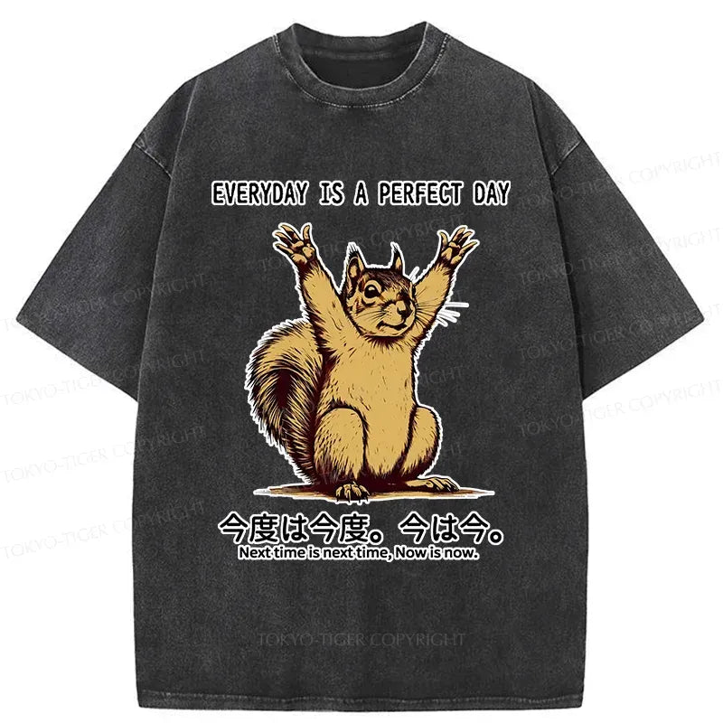 Well Washed Unisex Cotton T-Shirt for Gift