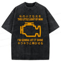 Kyoto-Lion Glowing Fault Light Washed T-Shirt