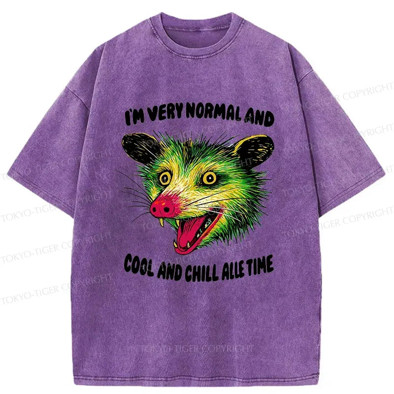 Kyoto-Lion Washed T-Shirt for Streetwear on Sale