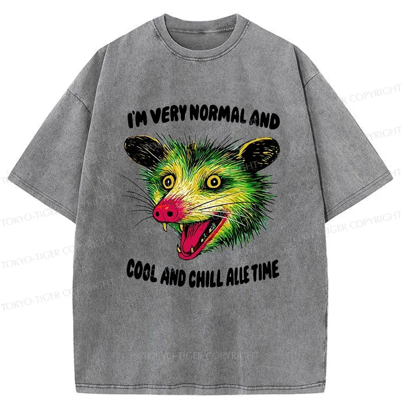 Kyoto-Lion Psychedelic Possum Washed T-Shirt