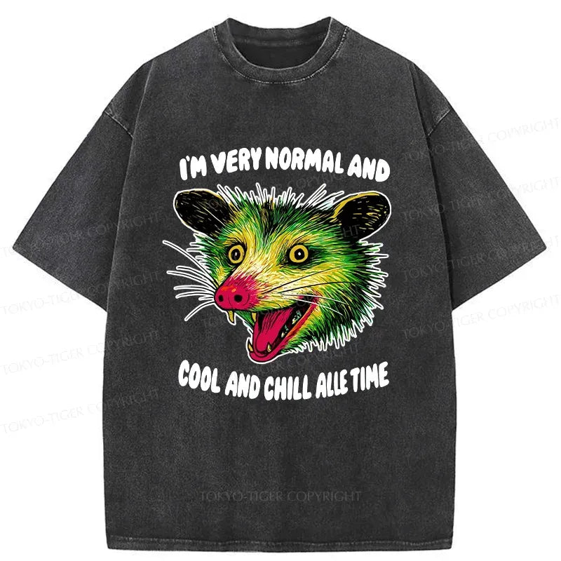 Kyoto-Lion Washed T-Shirt for Streetwear on Sale
