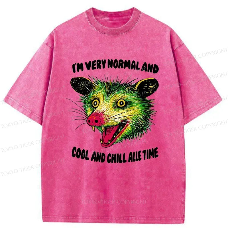 Psychedelic Possum Washed T-Shirt for Daily Wear