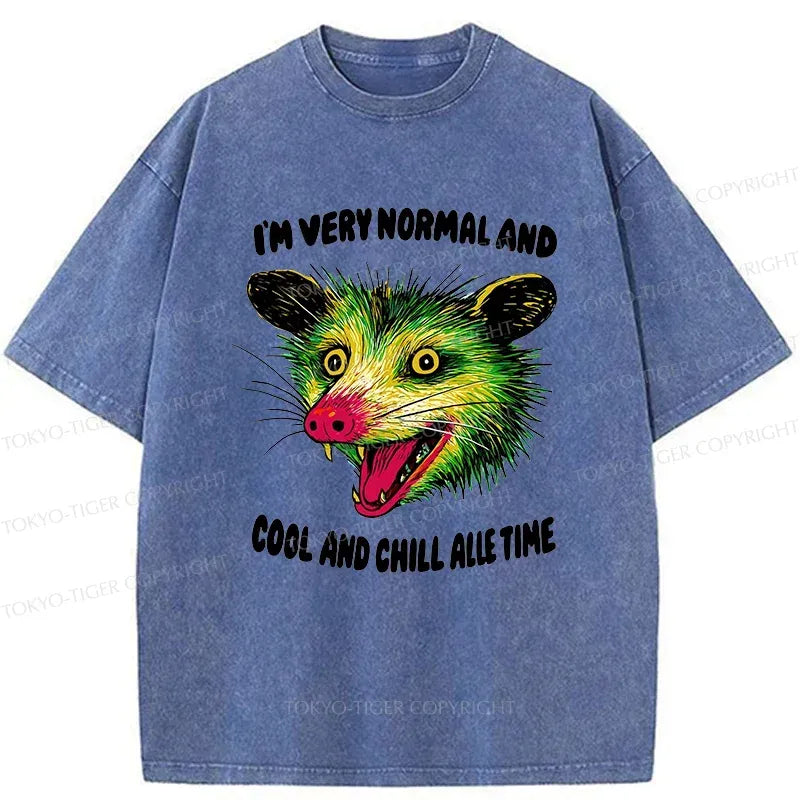 Kyoto-Lion Washed T-Shirt for Streetwear on Sale
