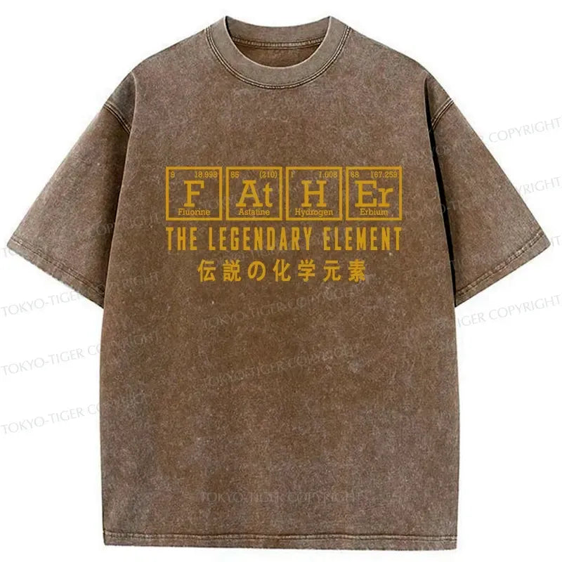 japanese wash t-shirt for dad