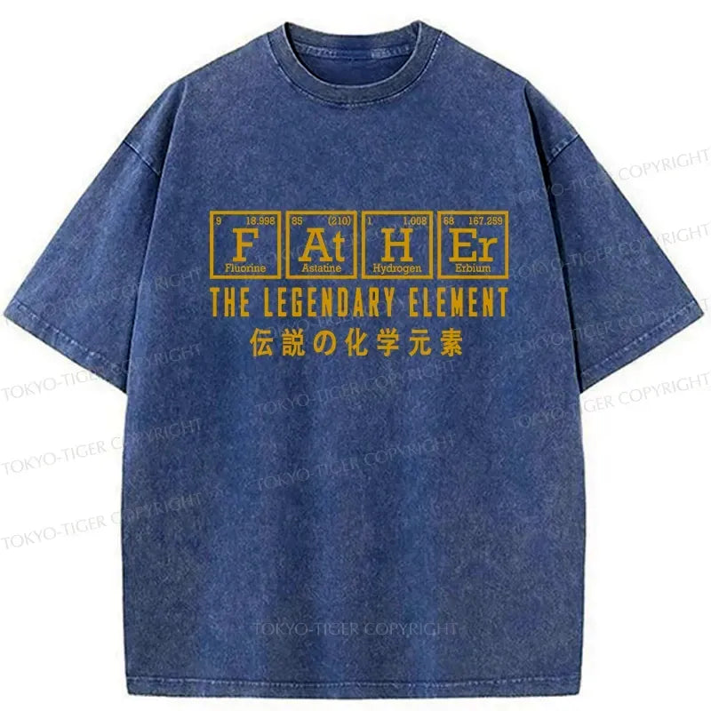 Kyoto-Lion Funny Father Chemical Element Washed T-Shirt