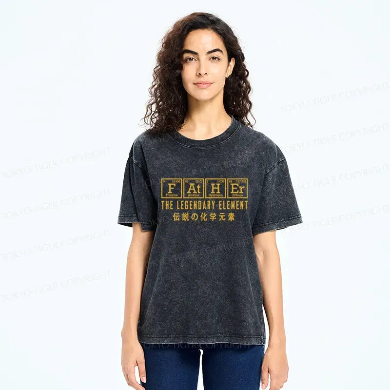japanese wash t-shirt for dad