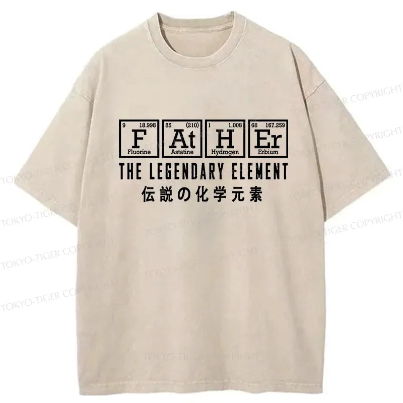 Kyoto-Lion Funny Father Chemical Element Washed T-Shirt