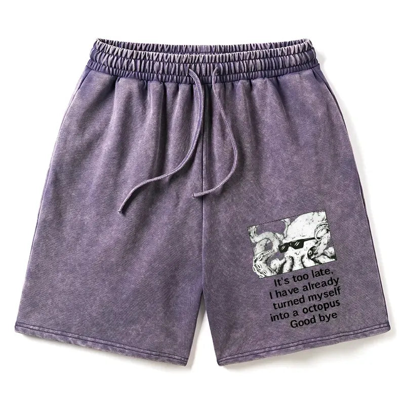 I Disappeared Completely Shorts for Gift Idea