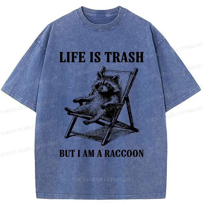 Japanese Vintage Raccoon T-Shirt for Gift Idea