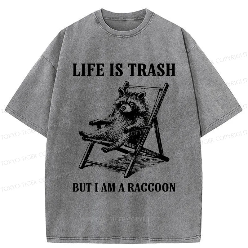 Japanese Vintage Raccoon T-Shirt for Gift Idea