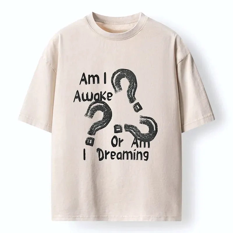 Kyoto Lion Awake Or Dreaming Washed T-Shirt
