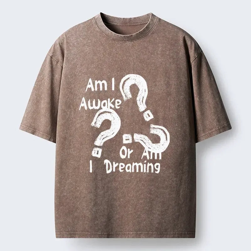 Kyoto-Lion Mind Blown Awake Or Dreaming Washed T-Shirt