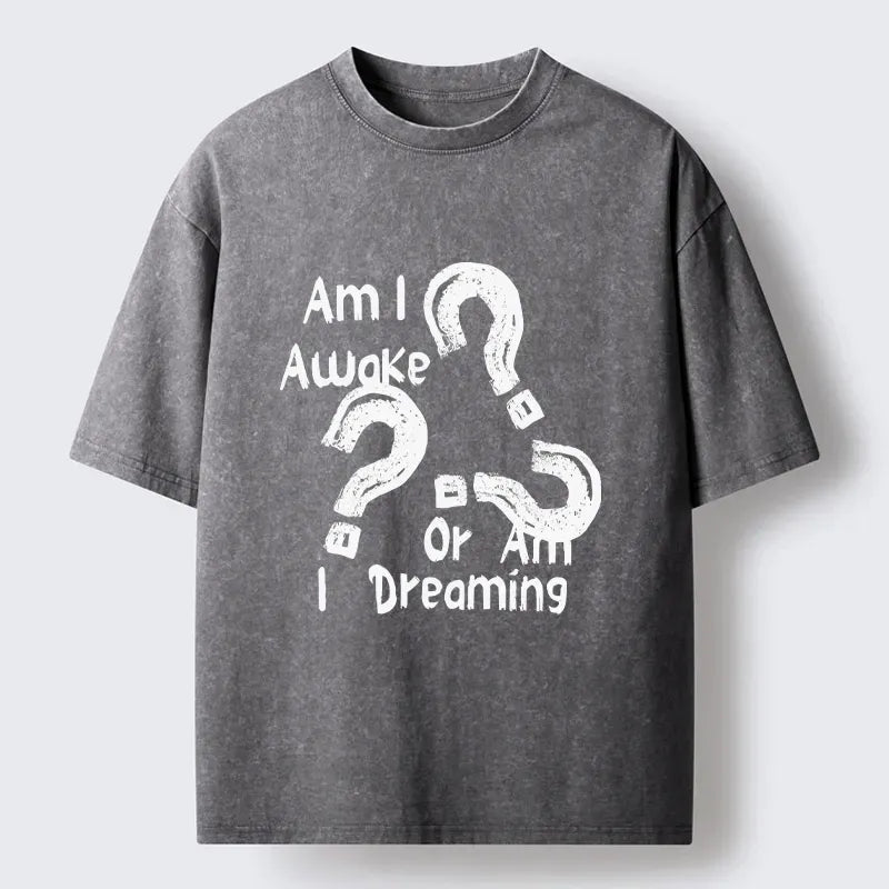 Kyoto Lion Awake Or Dreaming Washed T-Shirt