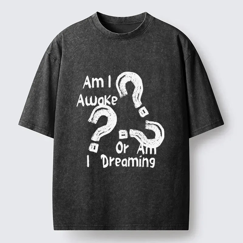 Kyoto-Lion Mind Blown Awake Or Dreaming Washed T-Shirt