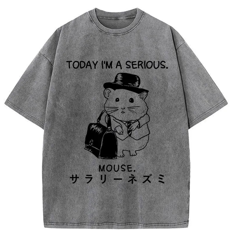 Japanese washed t-shirt for daily wear