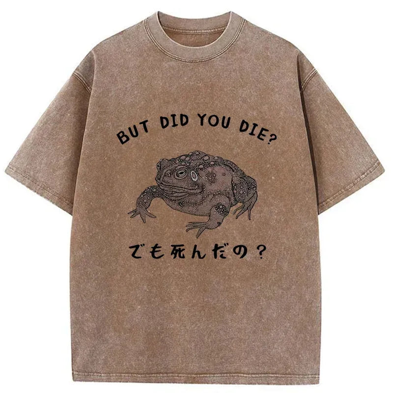 Kyoto-Lion Question From Frog Funny Washed T-Shirt