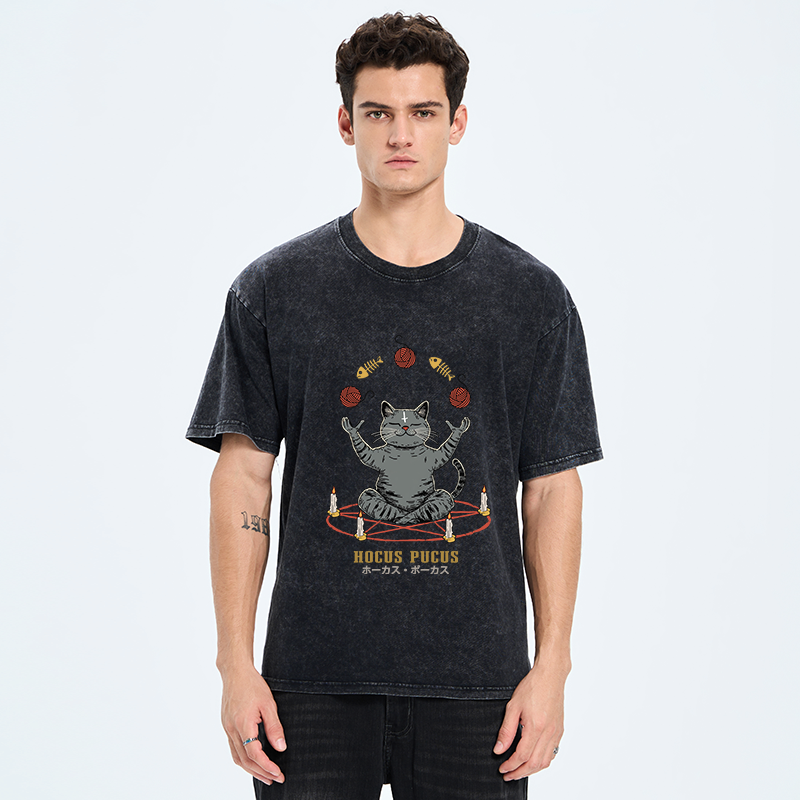 Kyoto lion unisex tee streetwear style