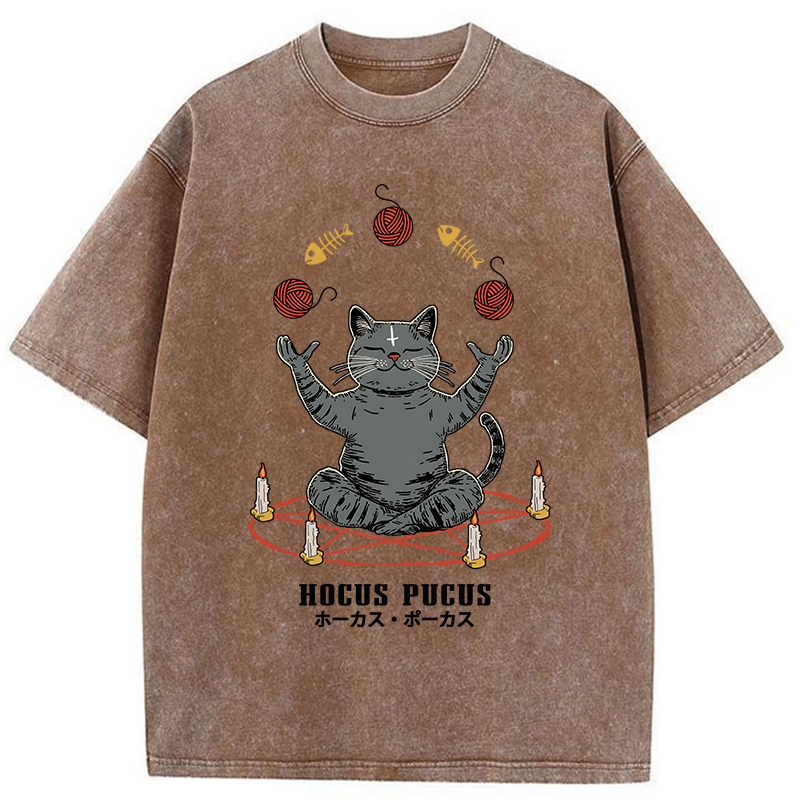 Kyoto lion unisex tee streetwear style