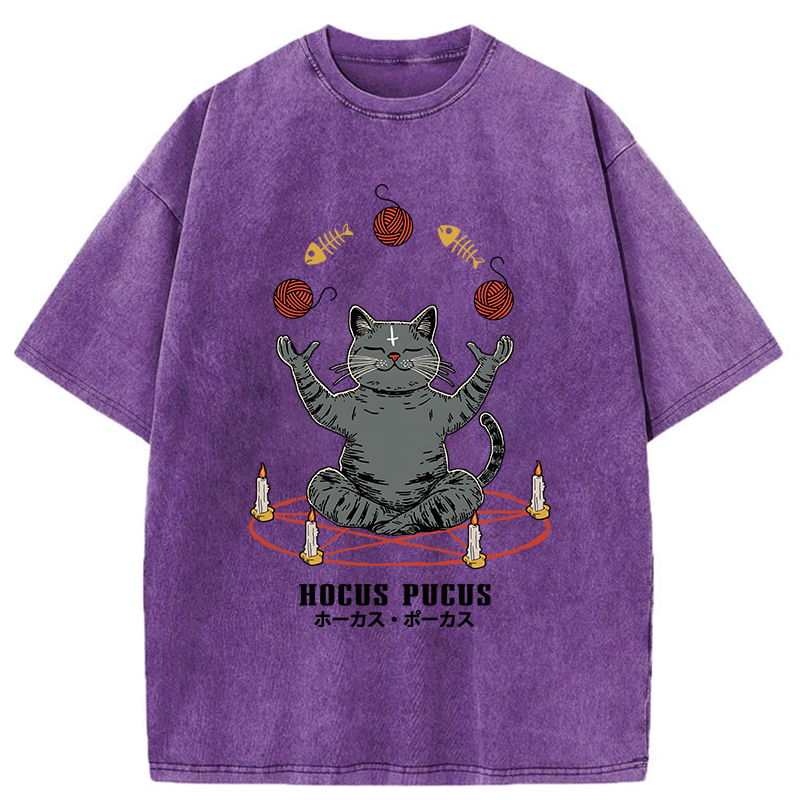 Kyoto-Lion Hocus Pocus Washed T-Shirt