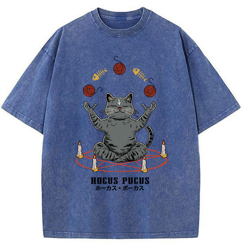 Kyoto-Lion Hocus Pocus Washed T-Shirt