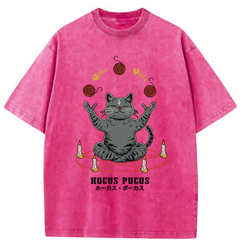 Kyoto-Lion Hocus Pocus Washed T-Shirt
