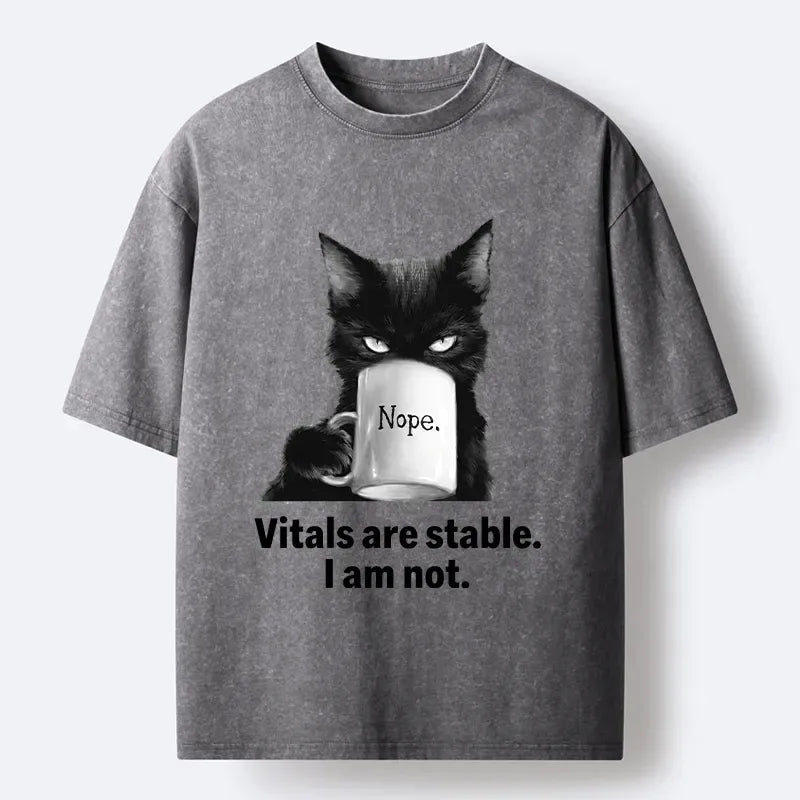 Washed Ukiyo-e Cat T-Shirt on Sale