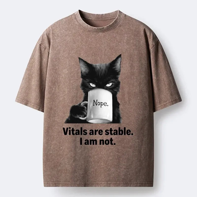 Washed Ukiyo-e Cat T-Shirt on Sale