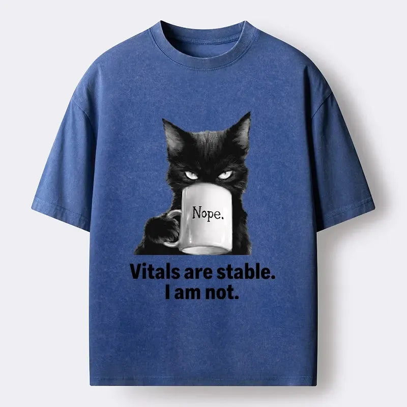Japanese Vintage Cat Meme T-Shirt