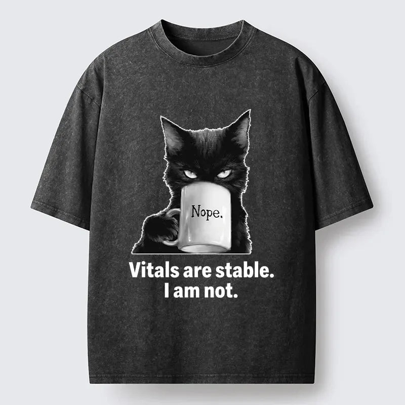 Japanese Vintage Cat Meme T-Shirt