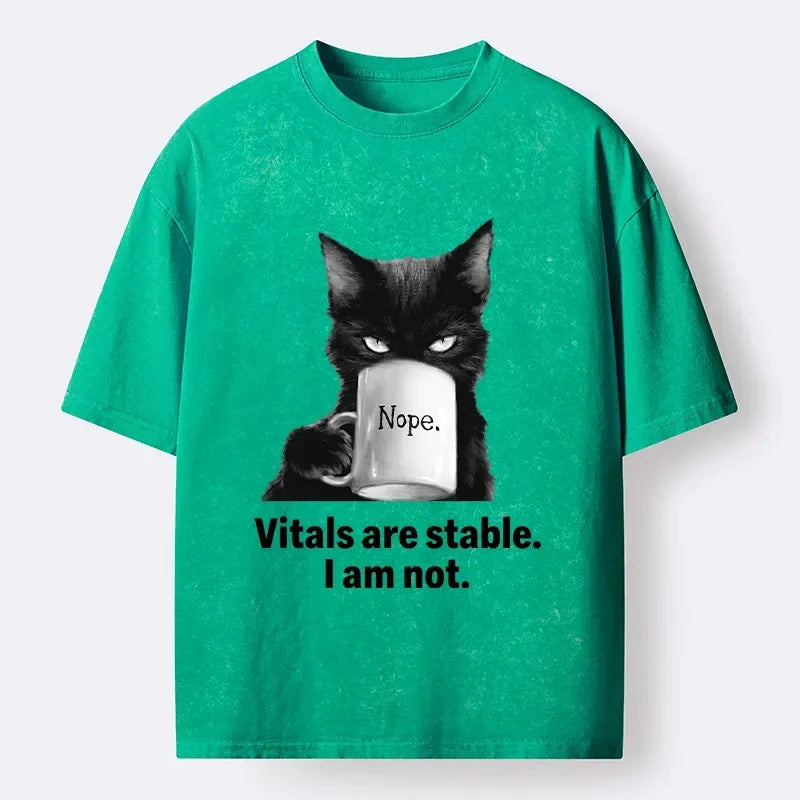 Washed Ukiyo-e Cat T-Shirt on Sale