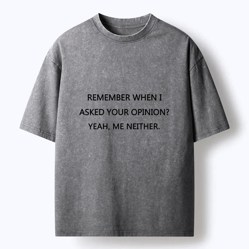 Kyoto-Lion Funny Sarcasm Quote Meme Washed T-Shirt
