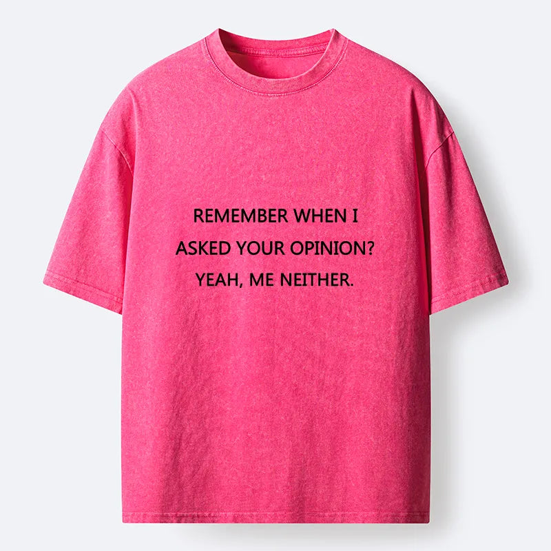 Kyoto-Lion Funny Sarcasm Quote Meme Washed T-Shirt