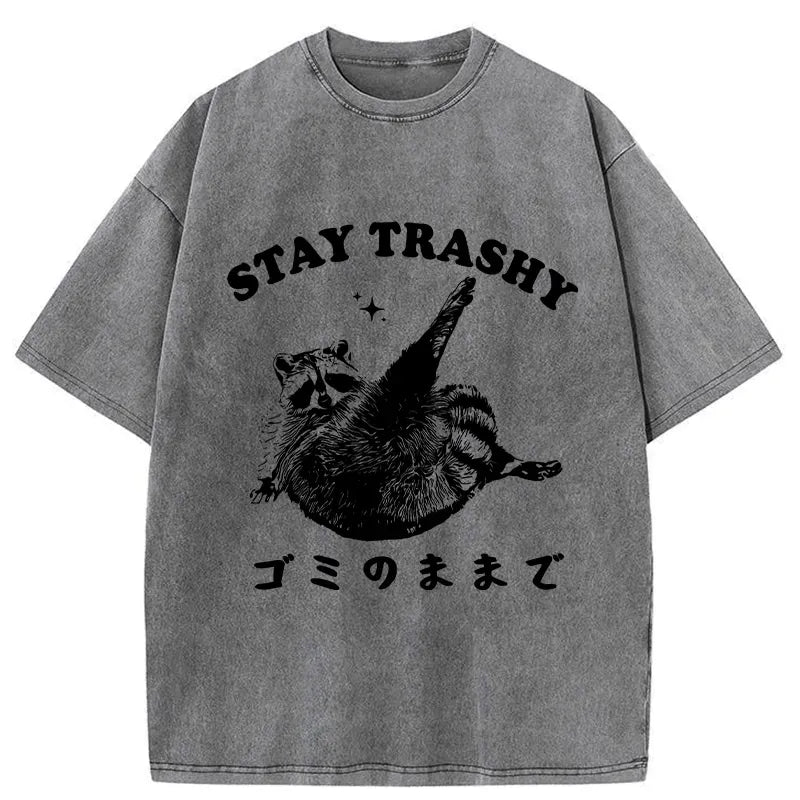 Kyoto-Lion Raccoon Stay Trashy Washed T-Shirt