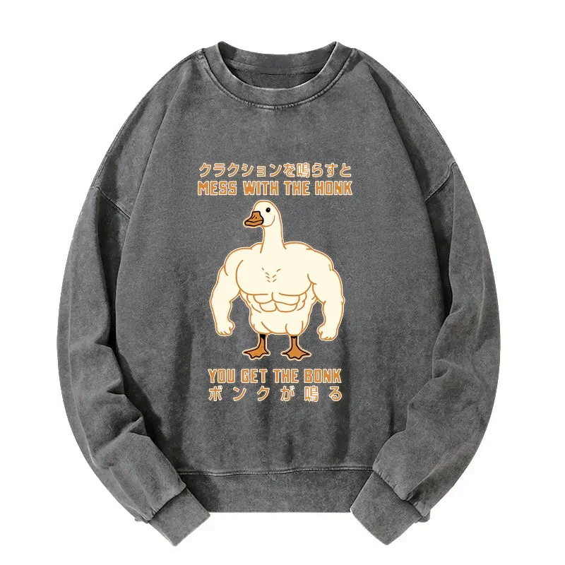 Kyoto Lion Japanese washed sweatshirt free shipping