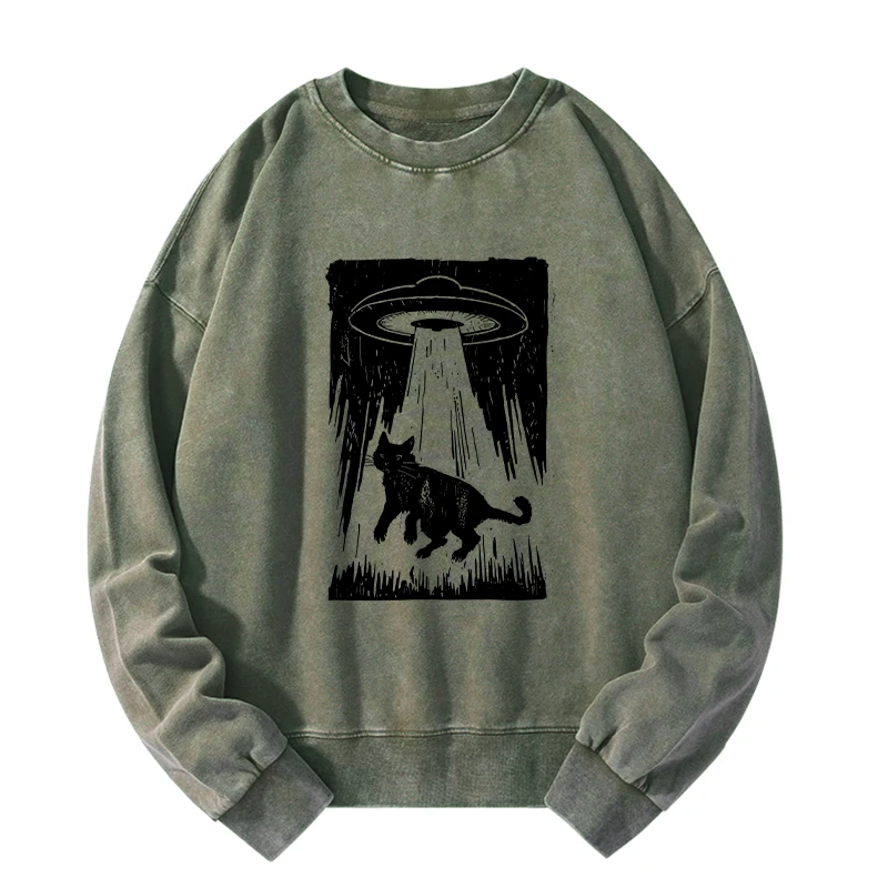 Unisex Kyoto Lion Cat Sweatshirt Free Shipping