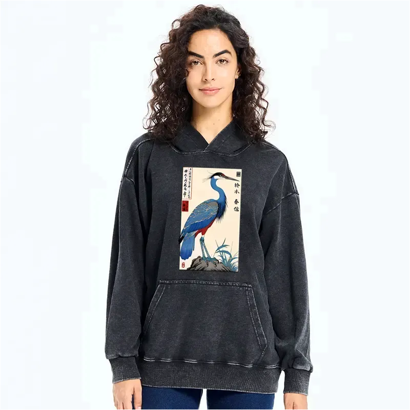 Kyoto-Lion Colorful Crane Washed Hoodie