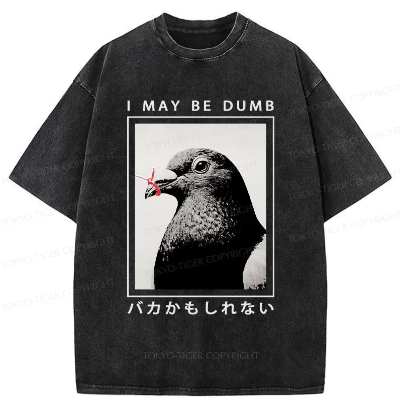 Kyoto-Lion I May Be Dumb Funny Washed T-Shirt