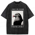 Kyoto-Lion I May Be Dumb Funny Washed T-Shirt