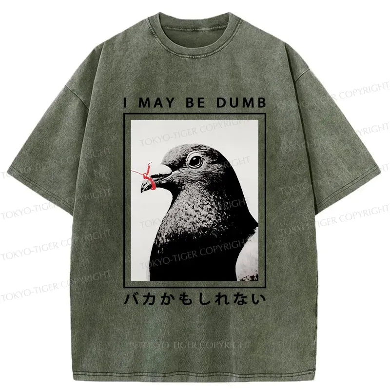 kyoto lion sarcastic tee for daily wear