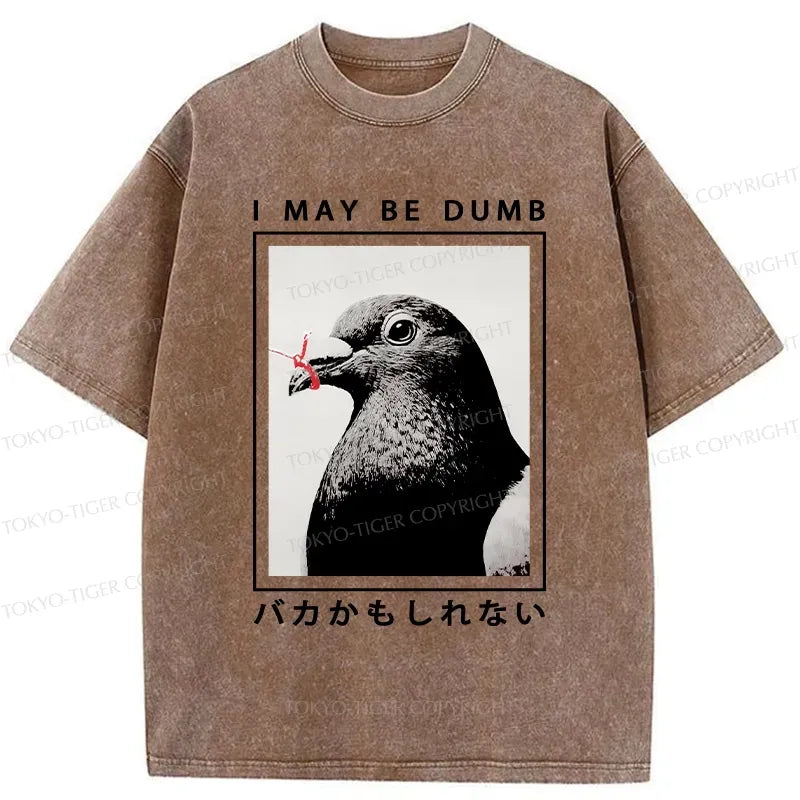 Kyoto-Lion I May Be Dumb Funny Washed T-Shirt